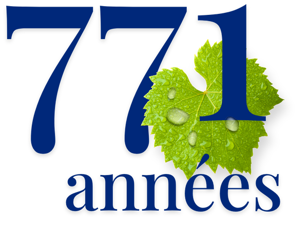 Visuel stylisé présentant "771 années" avec une feuille verte brillante, symbolisant l'authenticité de Stilles Mineralwasser.