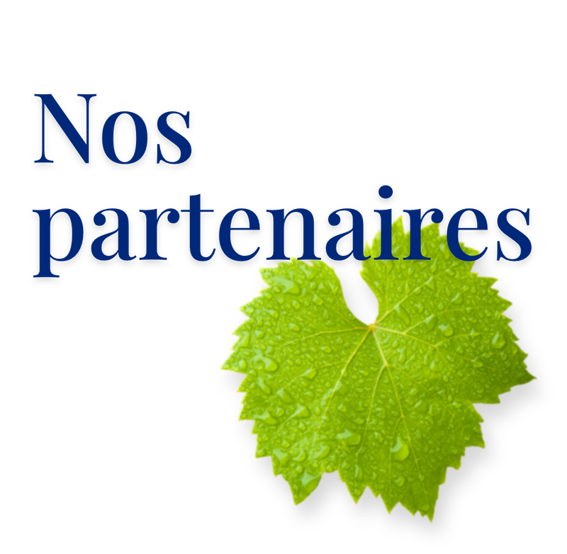Une feuille de vigne avec des gouttes d'eau, illustrant nos partenaires, dont Stilles Mineralwasser et Etoile.